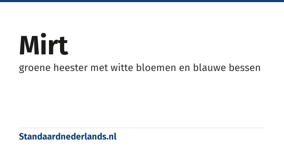 mirt: groene heester met witte bloemen en blauwe bessen