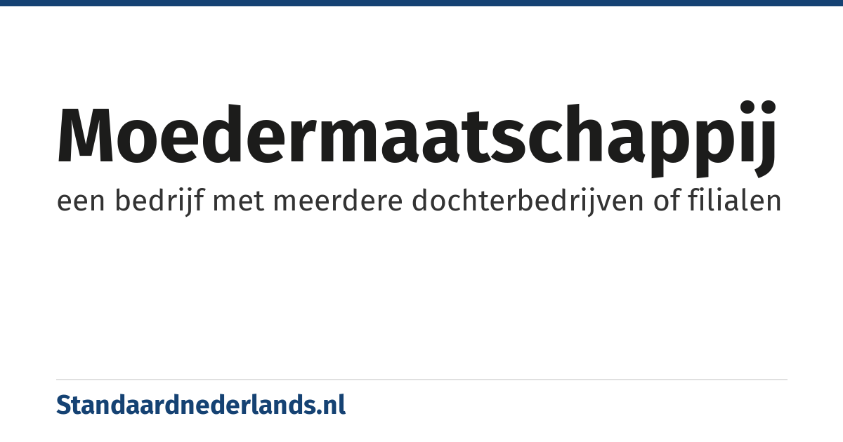 moedermaatschappij: een bedrijf met meerdere dochterbedrijven of filialen