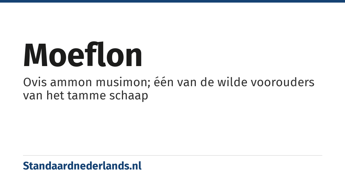 moeflon: Ovis ammon musimon; één van de wilde voorouders van het tamme schaap