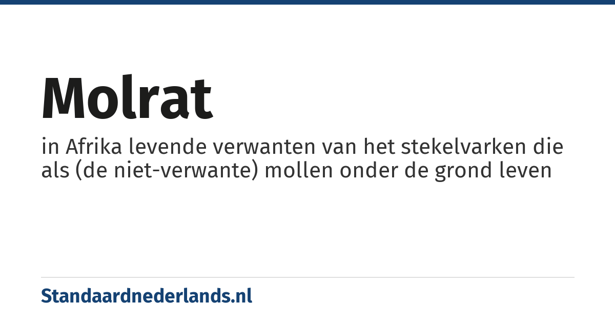 molrat: in Afrika levende verwanten van het stekelvarken die als (de niet-verwante) mollen onder de grond leven