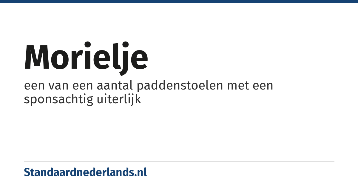 morielje: een van een aantal paddenstoelen met een sponsachtig uiterlijk