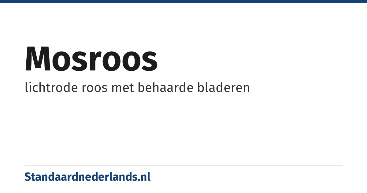 mosroos: lichtrode roos met behaarde bladeren
