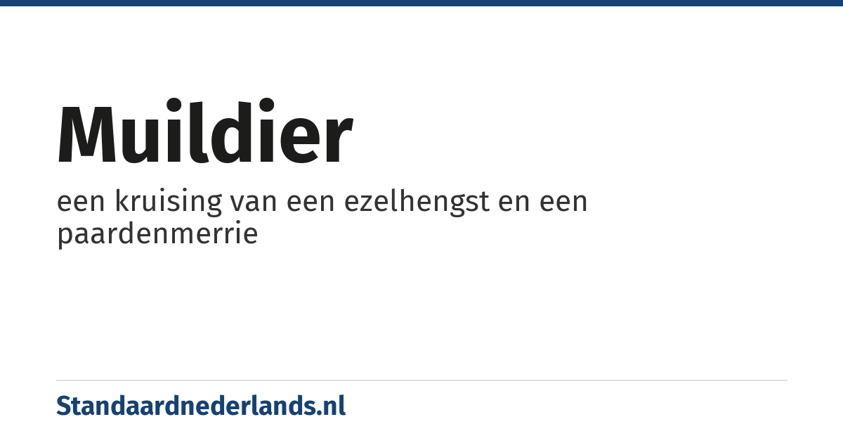 muildier: een kruising van een ezelhengst en een paardenmerrie