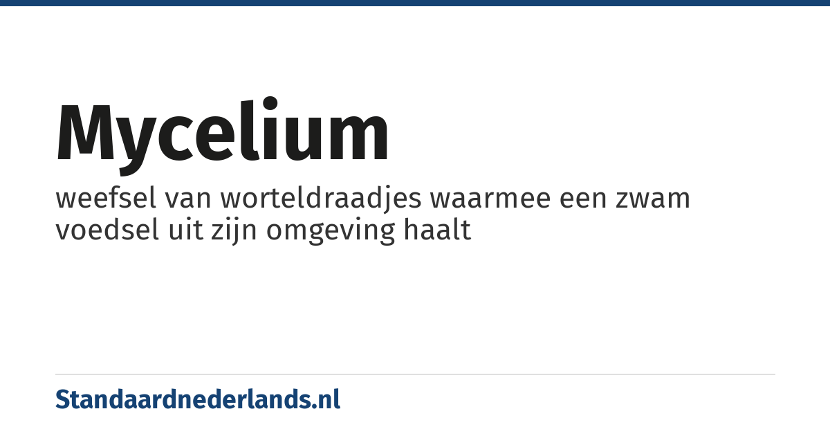 mycelium: weefsel van worteldraadjes waarmee een zwam voedsel uit zijn omgeving haalt