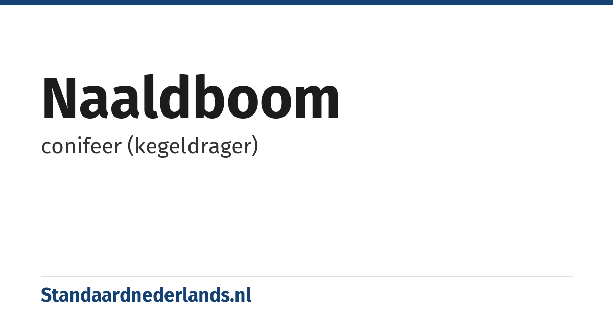 naaldboom: conifeer (kegeldrager)