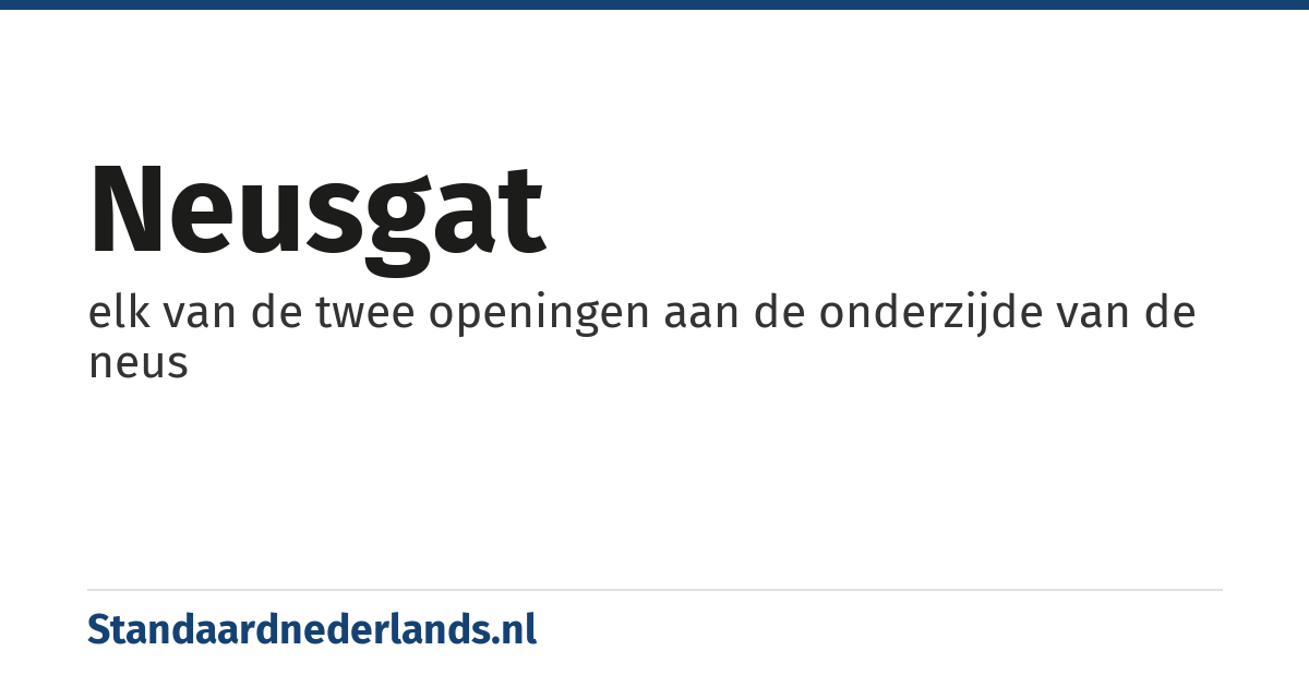 neusgat: elk van de twee openingen aan de onderzijde van de neus
