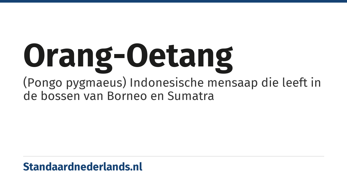 orang-oetang: (Pongo pygmaeus) Indonesische mensaap die leeft in de bossen van Borneo en Sumatra