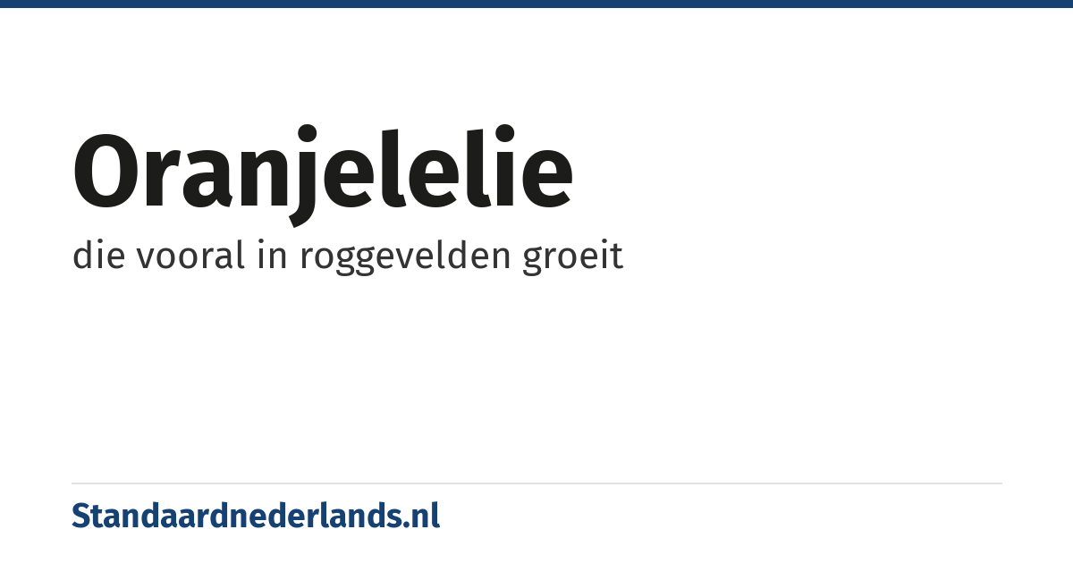 oranjelelie: die vooral in roggevelden groeit