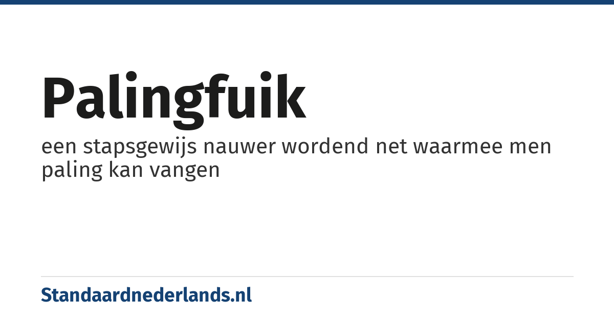 palingfuik: een stapsgewijs nauwer wordend net waarmee men paling kan vangen