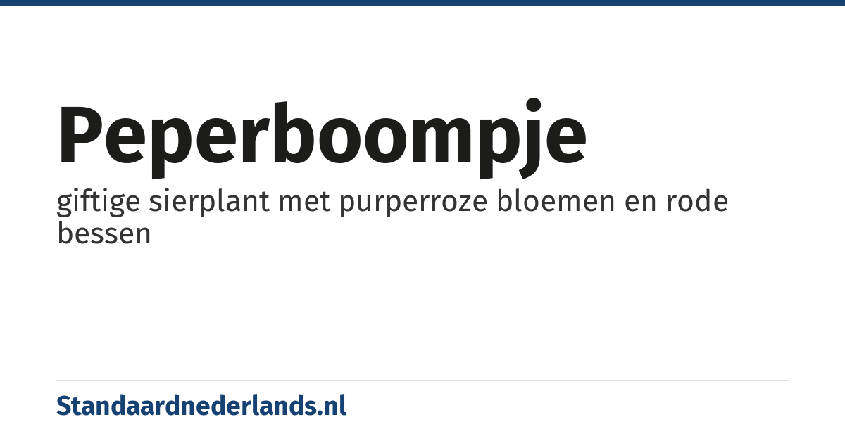 peperboompje: giftige sierplant met purperroze bloemen en rode bessen