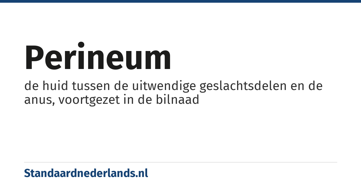 perineum: de huid tussen de uitwendige geslachtsdelen en de anus, voortgezet in de bilnaad