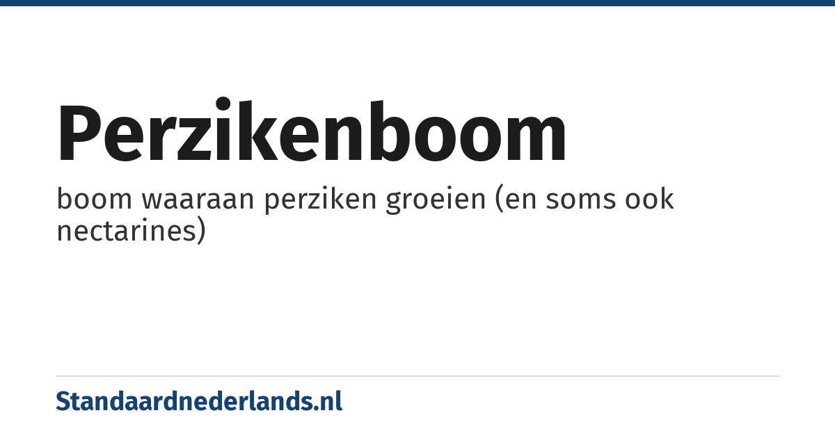 perzikenboom: boom waaraan perziken groeien (en soms ook nectarines)