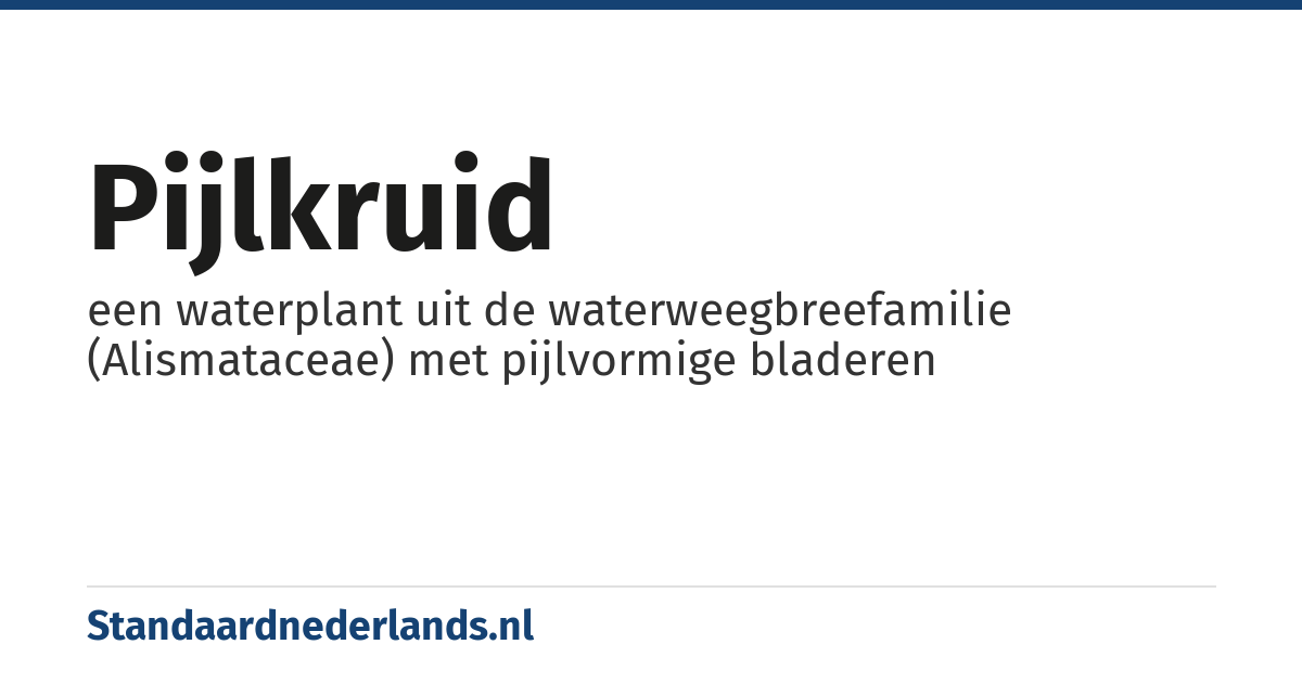 pijlkruid: een waterplant uit de waterweegbreefamilie (Alismataceae) met pijlvormige bladeren