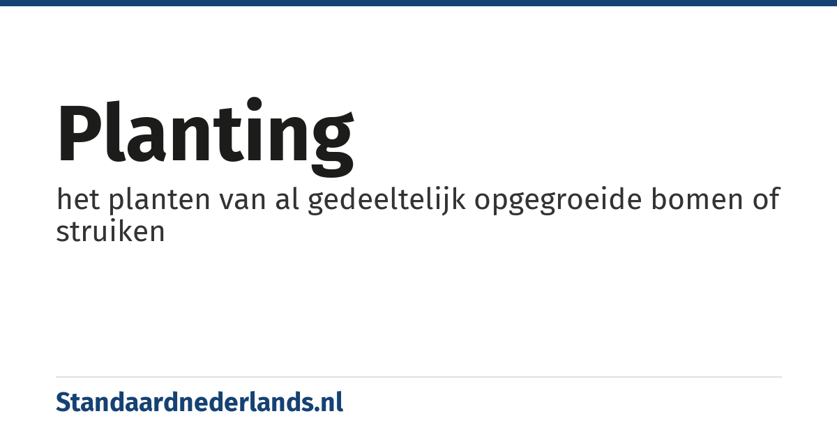 planting: het planten van al gedeeltelijk opgegroeide bomen of struiken