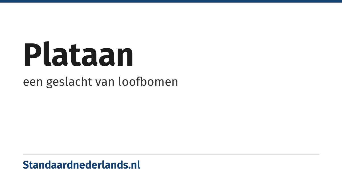 plataan: een geslacht van loofbomen