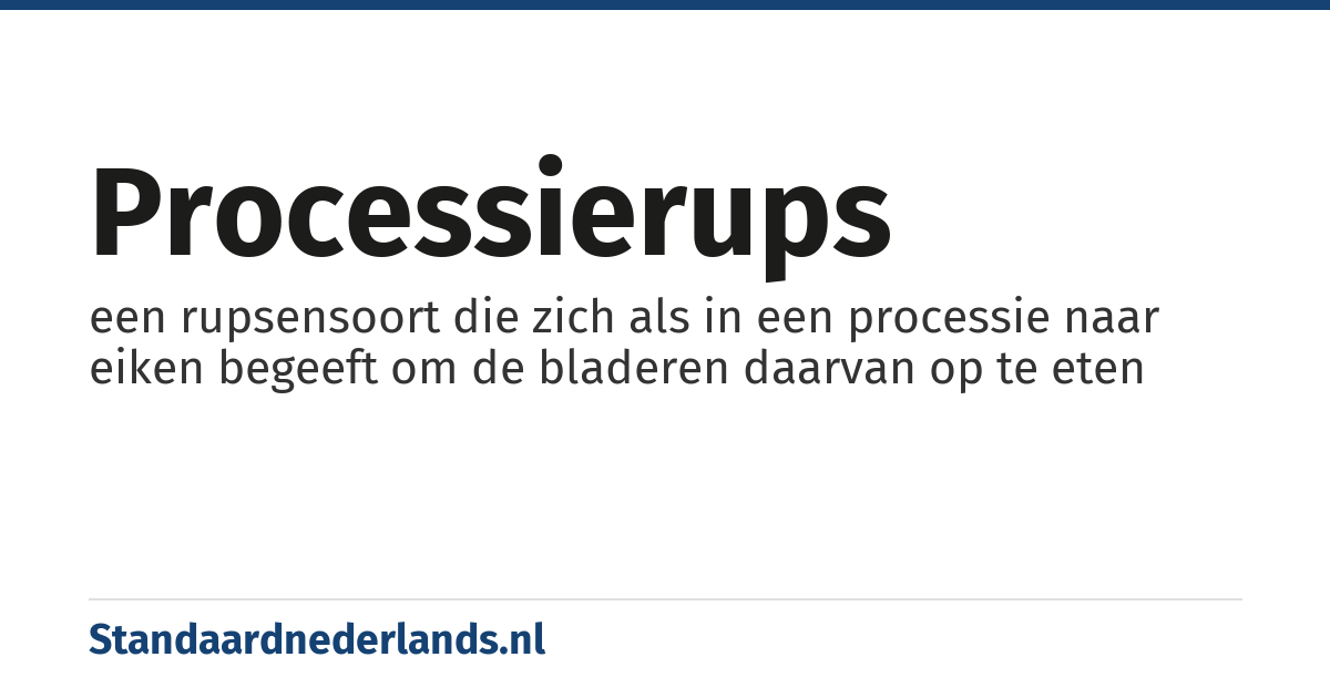 processierups: een rupsensoort die zich als in een processie naar eiken begeeft om de bladeren daarvan op te eten