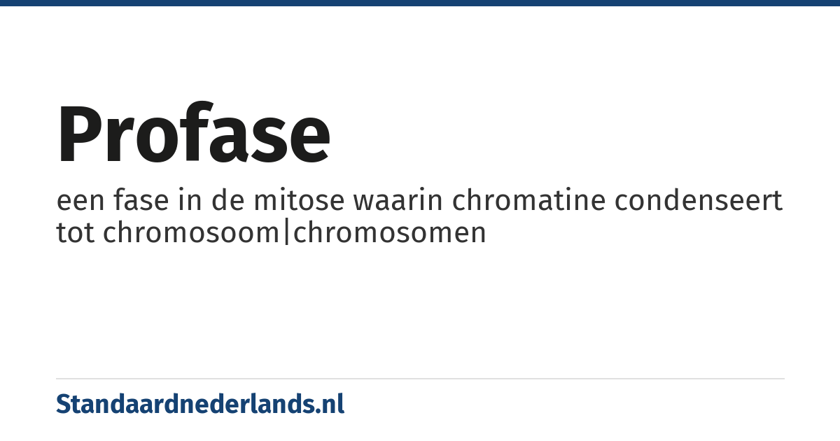 profase: een fase in de mitose waarin chromatine condenseert tot chromosoom|chromosomen