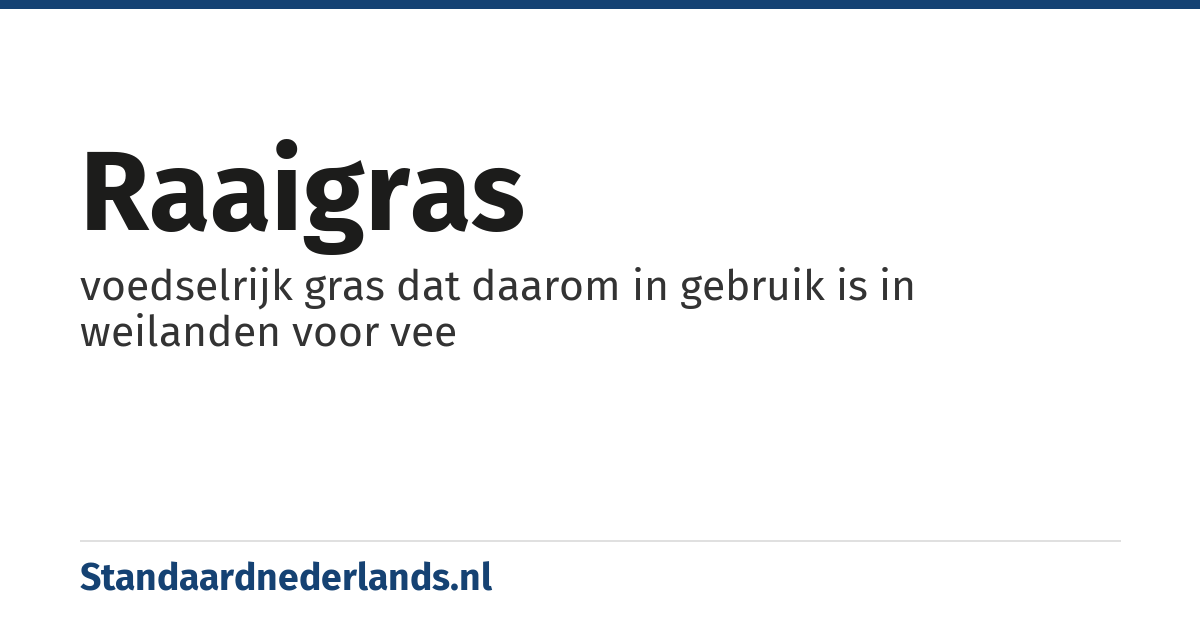 raaigras: voedselrijk gras dat daarom in gebruik is in weilanden voor vee