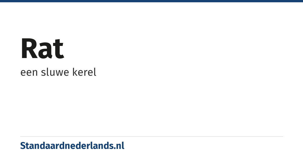 rat: een sluwe kerel
