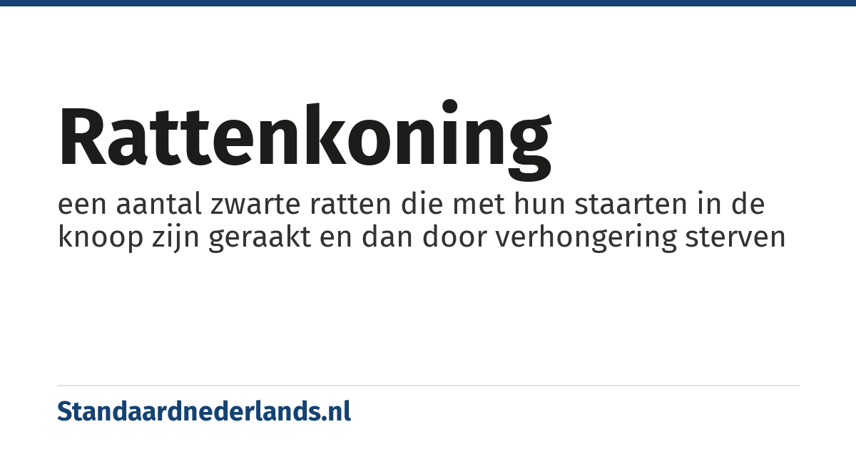 rattenkoning: een aantal zwarte ratten die met hun staarten in de knoop zijn geraakt en dan door verhongering sterven