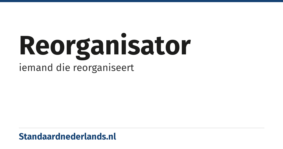 reorganisator: iemand die reorganiseert