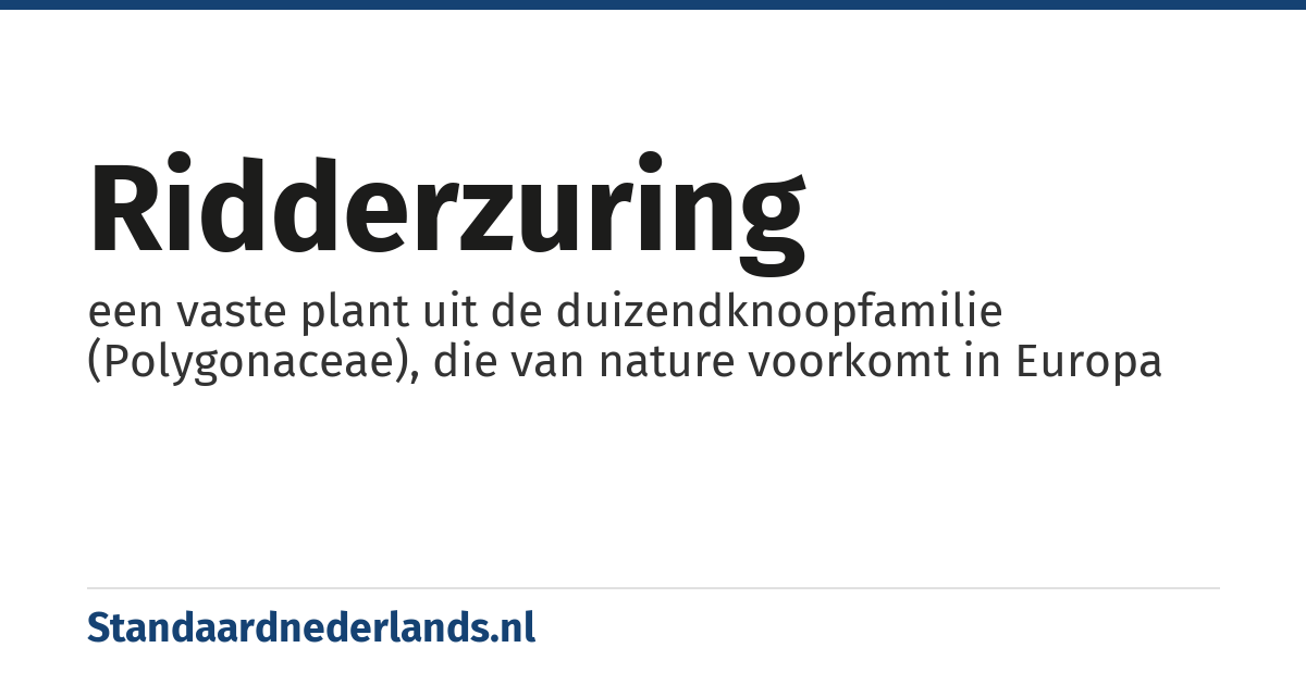 ridderzuring: een vaste plant uit de duizendknoopfamilie (Polygonaceae), die van nature voorkomt in Europa