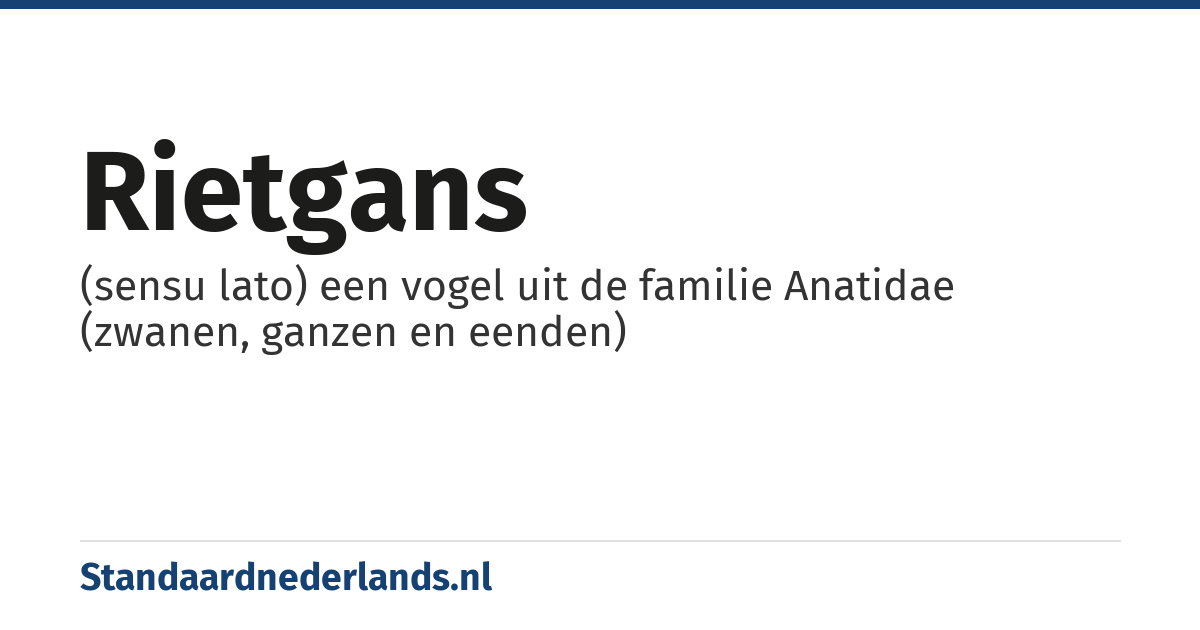 rietgans: (sensu lato) een vogel uit de familie Anatidae (zwanen, ganzen en eenden)