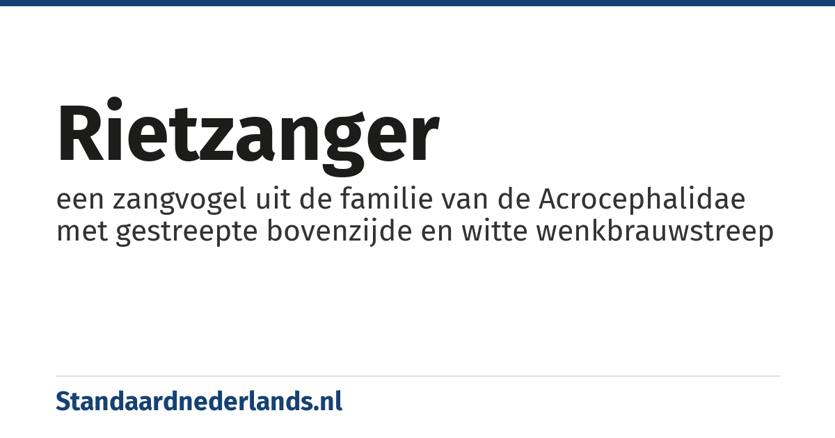 rietzanger: een zangvogel uit de familie van de Acrocephalidae met gestreepte bovenzijde en witte wenkbrauwstreep