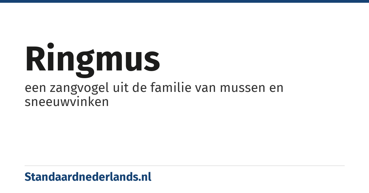 ringmus: een zangvogel uit de familie van mussen en sneeuwvinken