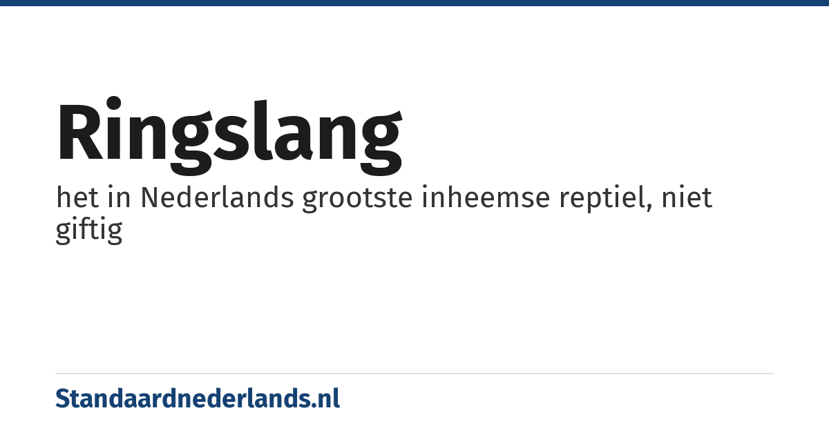 ringslang: het in Nederlands grootste inheemse reptiel, niet giftig