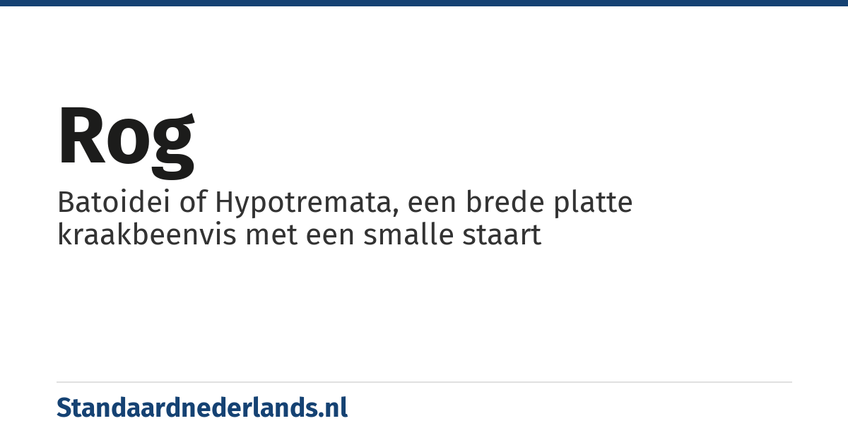 rog: Batoidei of Hypotremata, een brede platte kraakbeenvis met een smalle staart