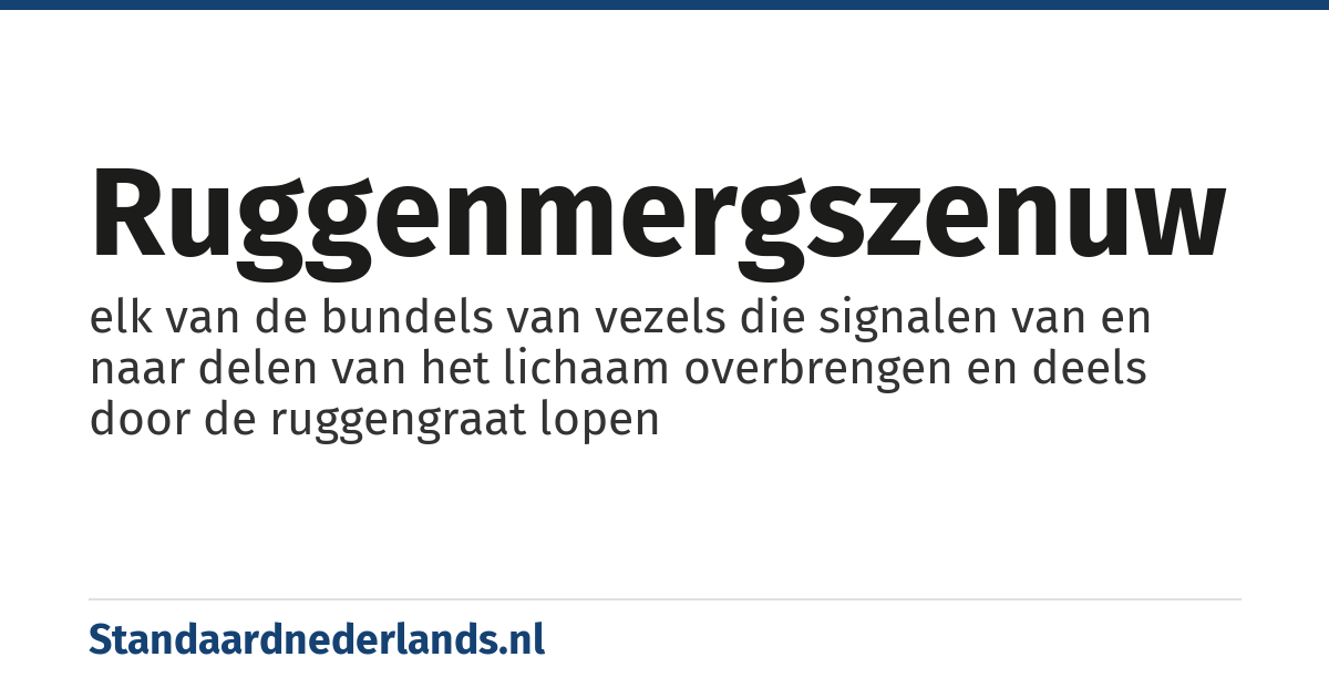 ruggenmergszenuw: elk van de bundels van vezels die signalen van en naar delen van het lichaam overbrengen en deels door de ruggengraat lopen
