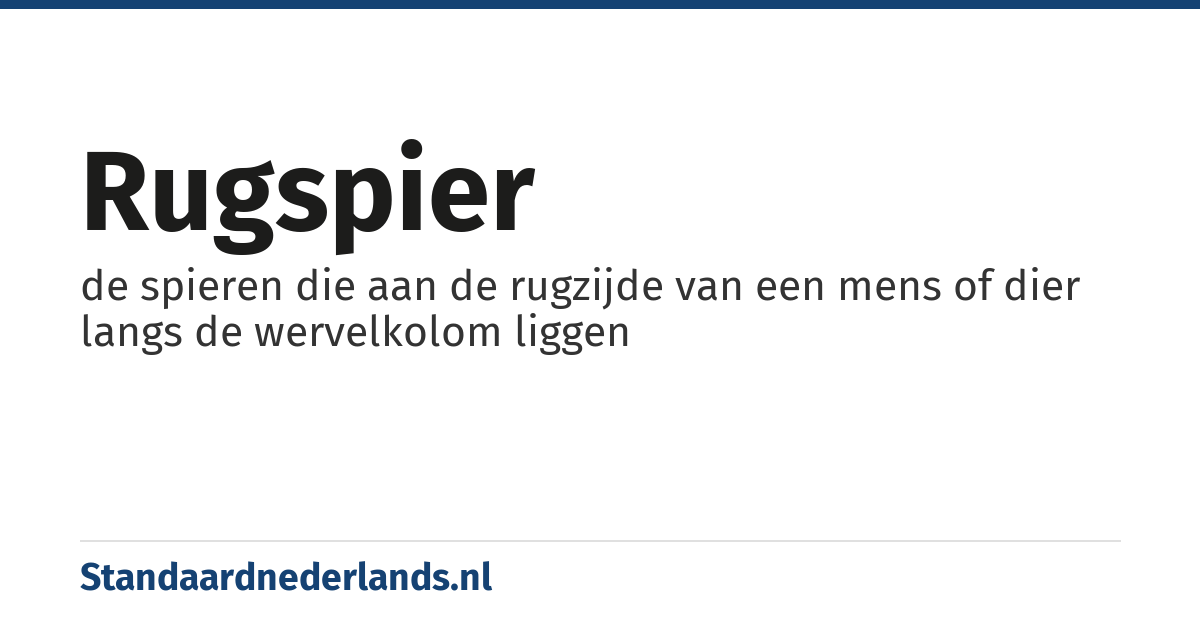 rugspier: de spieren die aan de rugzijde van een mens of dier langs de wervelkolom liggen