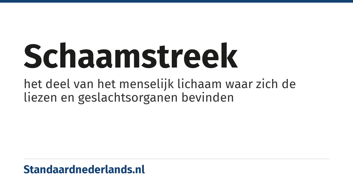 schaamstreek: het deel van het menselijk lichaam waar zich de liezen en geslachtsorganen bevinden