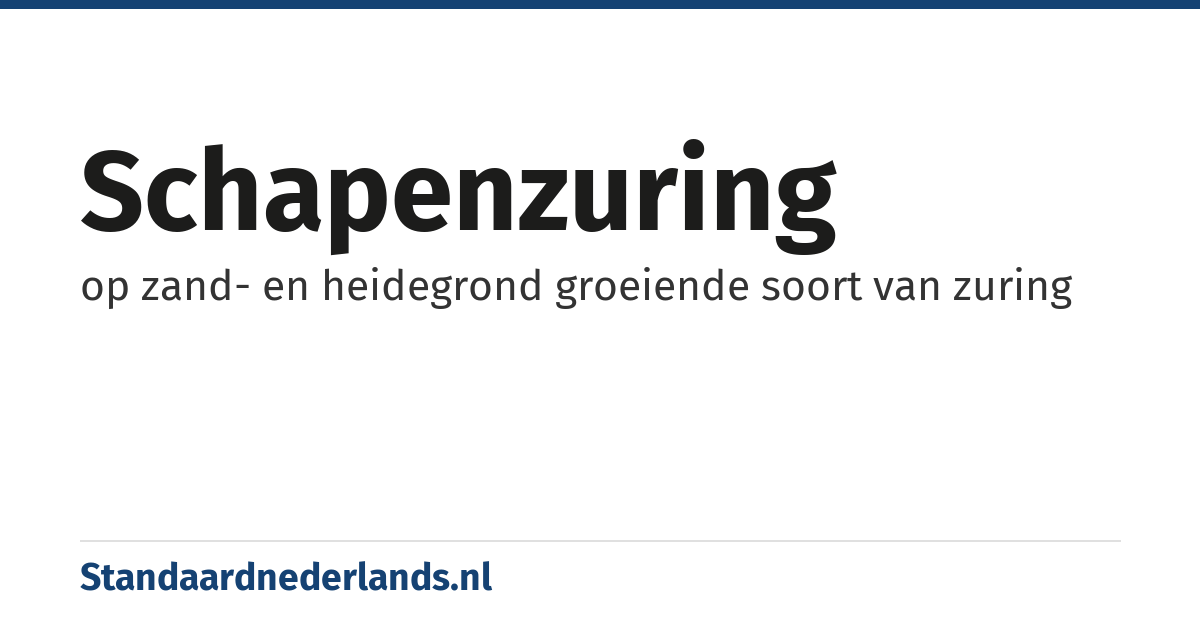 schapenzuring: op zand- en heidegrond groeiende soort van zuring