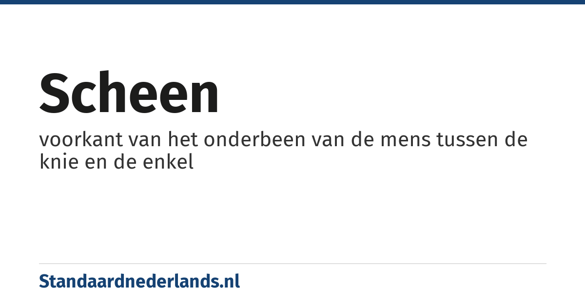 scheen: voorkant van het onderbeen van de mens tussen de knie en de enkel