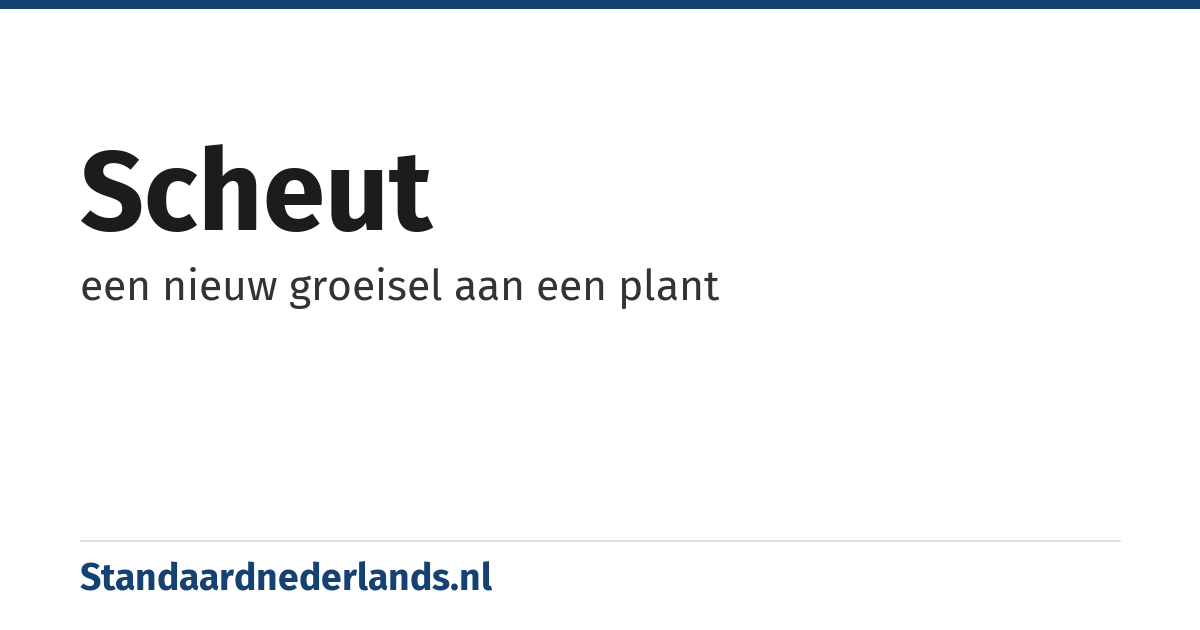 scheut: een nieuw groeisel aan een plant