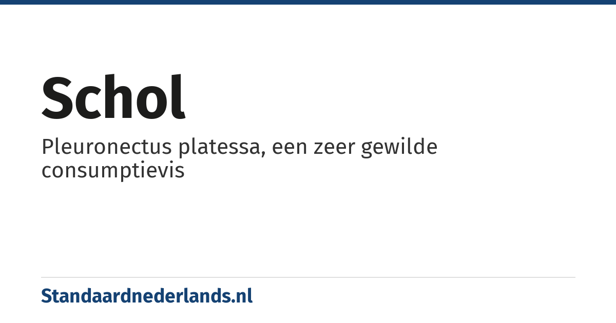 schol: Pleuronectus platessa, een zeer gewilde consumptievis