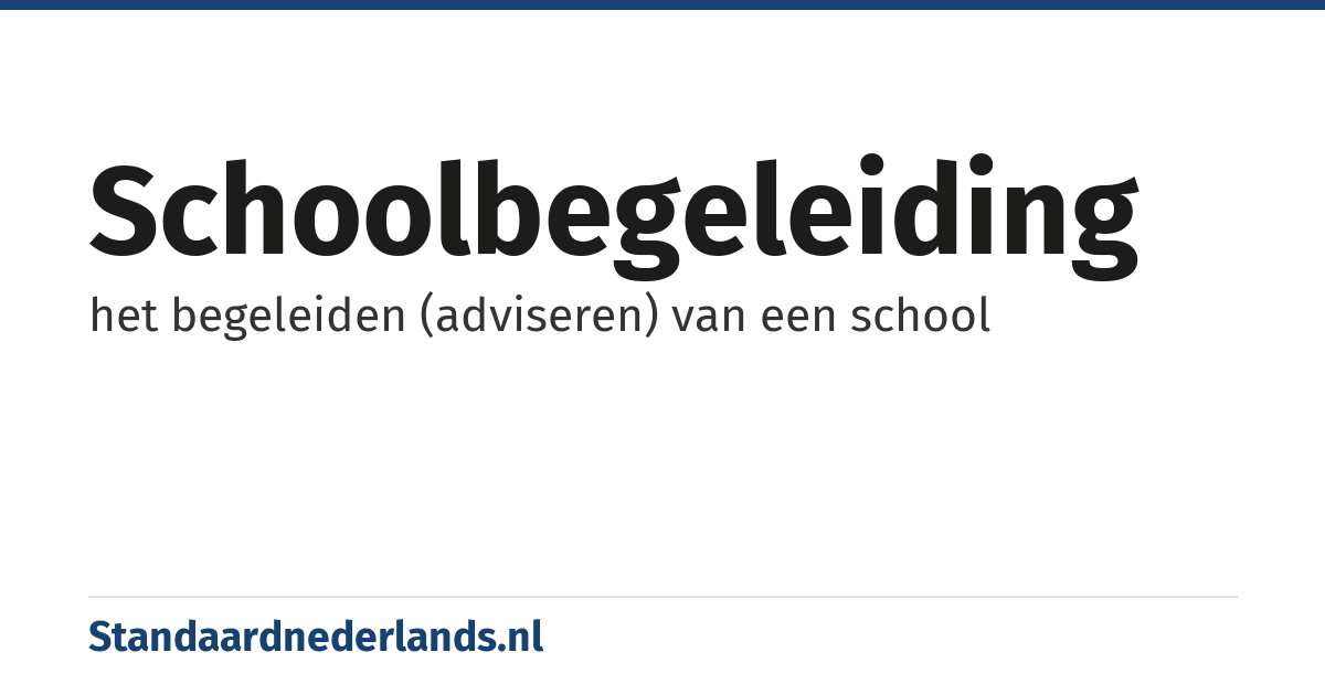 schoolbegeleiding: het begeleiden (adviseren) van een school