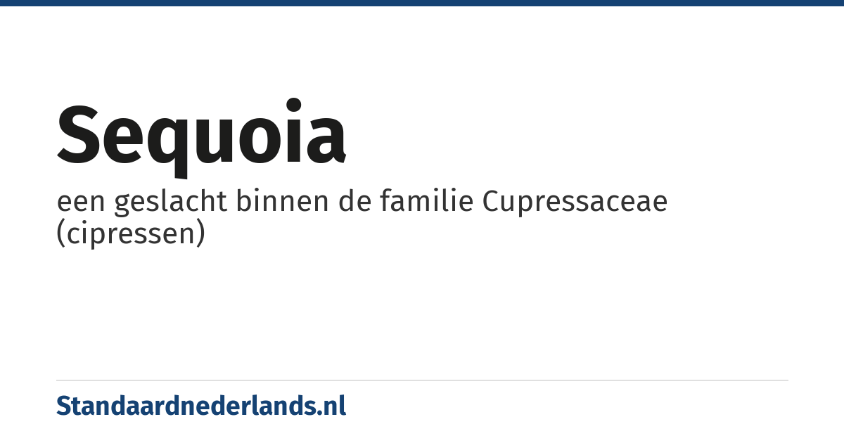 sequoia: een geslacht binnen de familie Cupressaceae (cipressen)