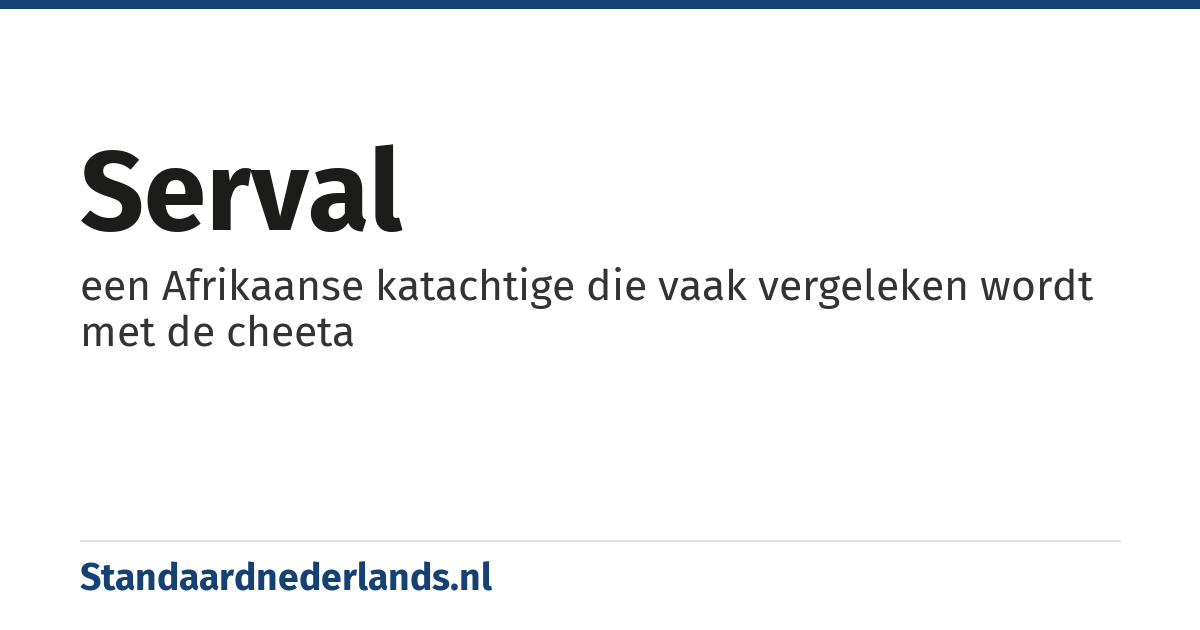 serval: een Afrikaanse katachtige die vaak vergeleken wordt met de cheeta