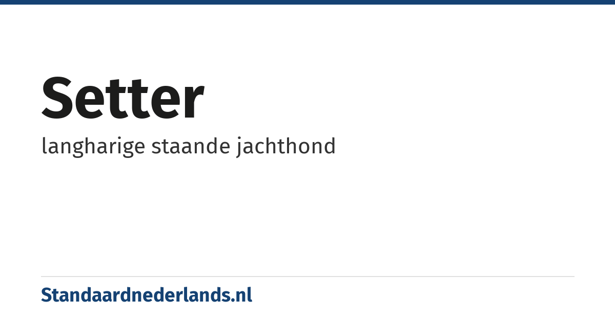 setter: langharige staande jachthond