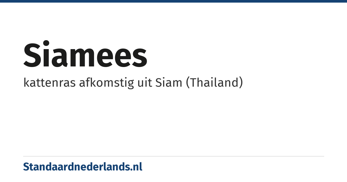 siamees: kattenras afkomstig uit Siam (Thailand)