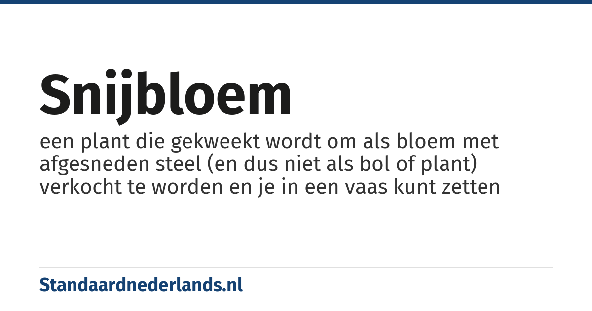 snijbloem: een plant die gekweekt wordt om als bloem met afgesneden steel (en dus niet als bol of plant) verkocht te worden en je in een vaas kunt zetten