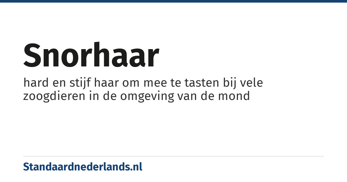 snorhaar: hard en stijf haar om mee te tasten bij vele zoogdieren in de omgeving van de mond