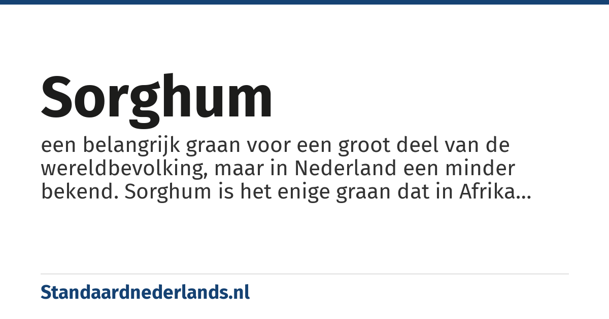 sorghum: een belangrijk graan voor een groot deel van de wereldbevolking, maar in Nederland een minder bekend. Sorghum is het enige graan dat in Afrika ruim beschikbaar is