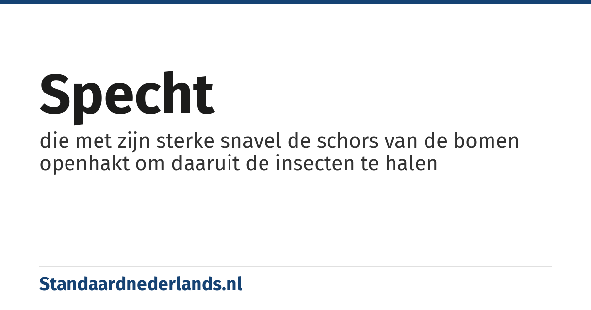 specht: die met zijn sterke snavel de schors van de bomen openhakt om daaruit de insecten te halen