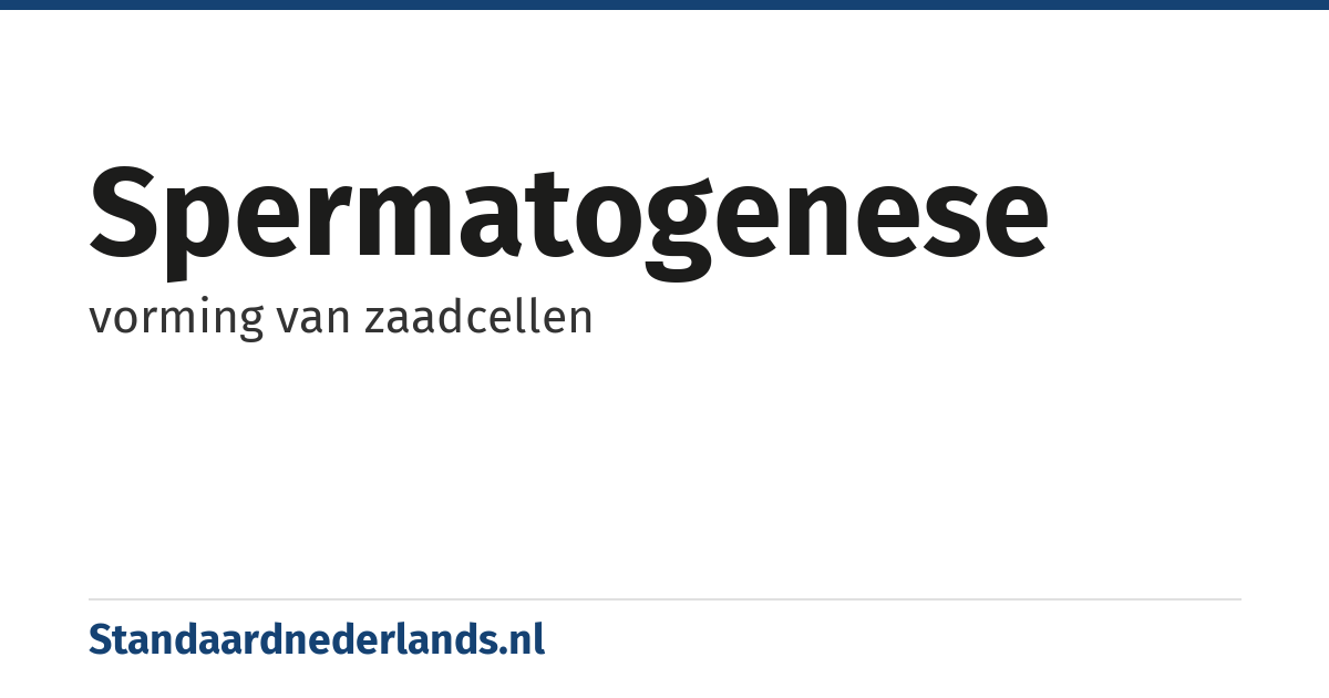 spermatogenese: vorming van zaadcellen