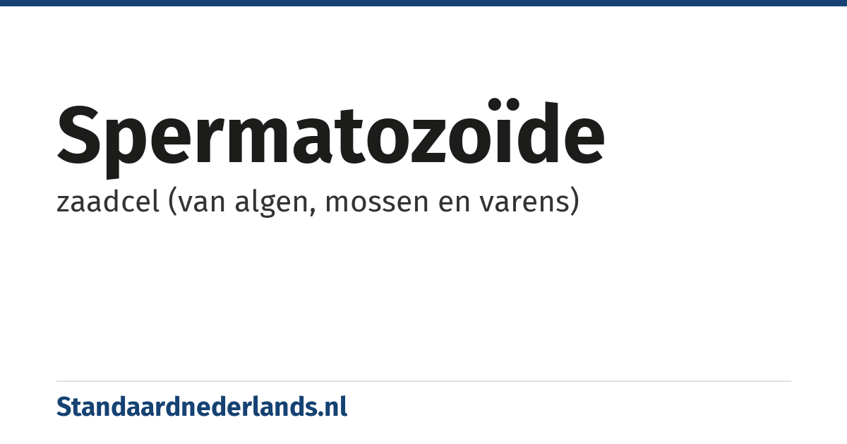 spermatozoïde: zaadcel (van algen, mossen en varens)
