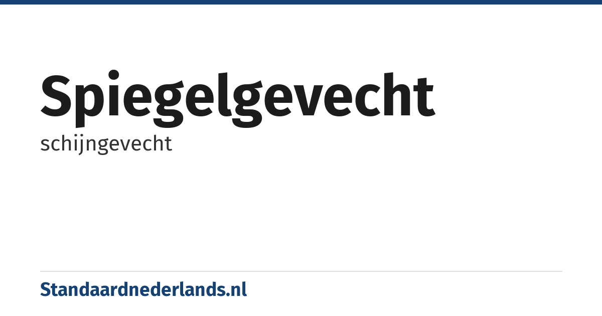 spiegelgevecht: schijngevecht
